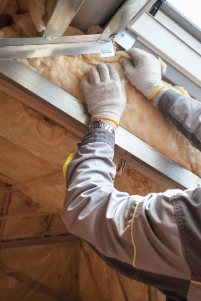 Best Residential Insulation in Miles City, MT